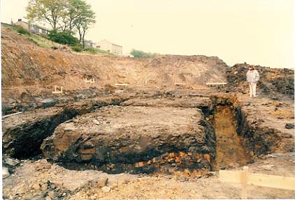 19 Lower Cribden Ave 1987 foundations