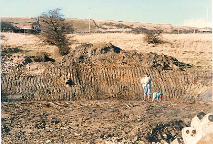 19 Lower Cribden Ave 1987 hole in the ground