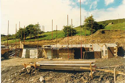 19 Lower Cribden Ave 1987 walls started